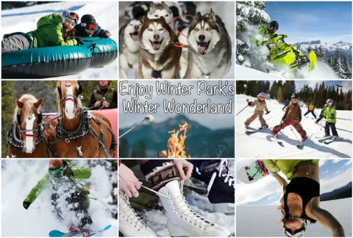 An energetic outdoor winter scene buzzing with activity: families and children are tubing down snow-covered hills; huskies pull sleds as part of dog-sledding adventures; a snowboarder is mid-action; and people gather by a cozy campfire. Skis and skates are visible, emphasizing the variety of available winter sports and village festivities.